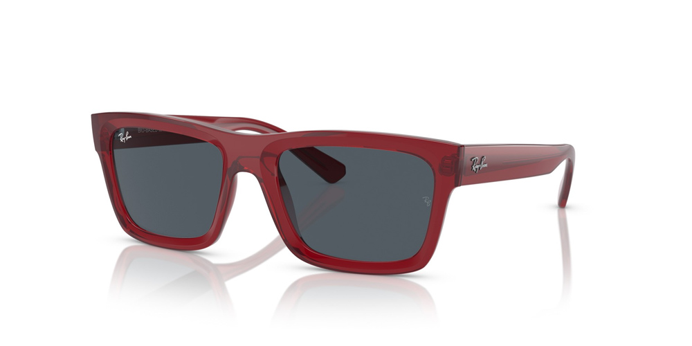 GAFAS DE SOL RAY-BAN-Warren-RB4396-667987